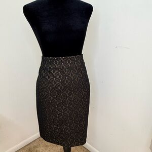 Loft brown under black lace sexy chic classic pencil knee length skirt size 10